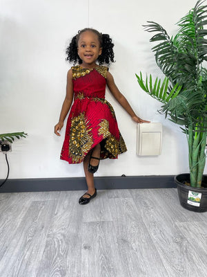 Raina girls dress