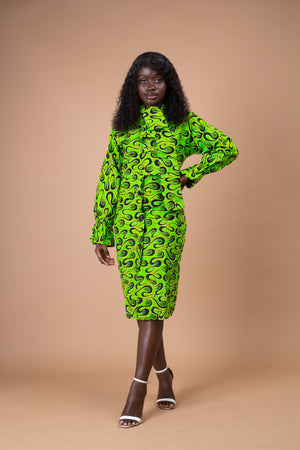 Effiong Button Down Shirt Dress