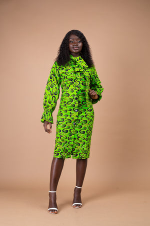 Effiong Button Down Shirt Dress