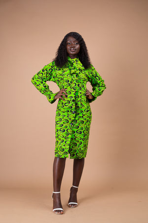 Effiong Button Down Shirt Dress